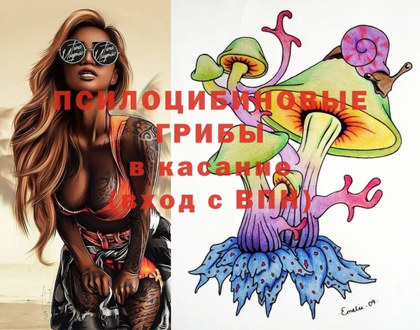 спиды Медногорск