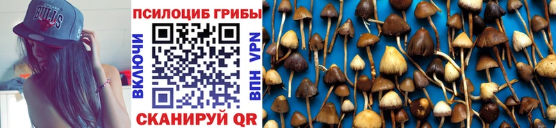 дарнет шоп  блэк спрут ТОР  Псилоцибиновые грибы GOLDEN TEACHER  даркнет какой сайт  Горбатов 